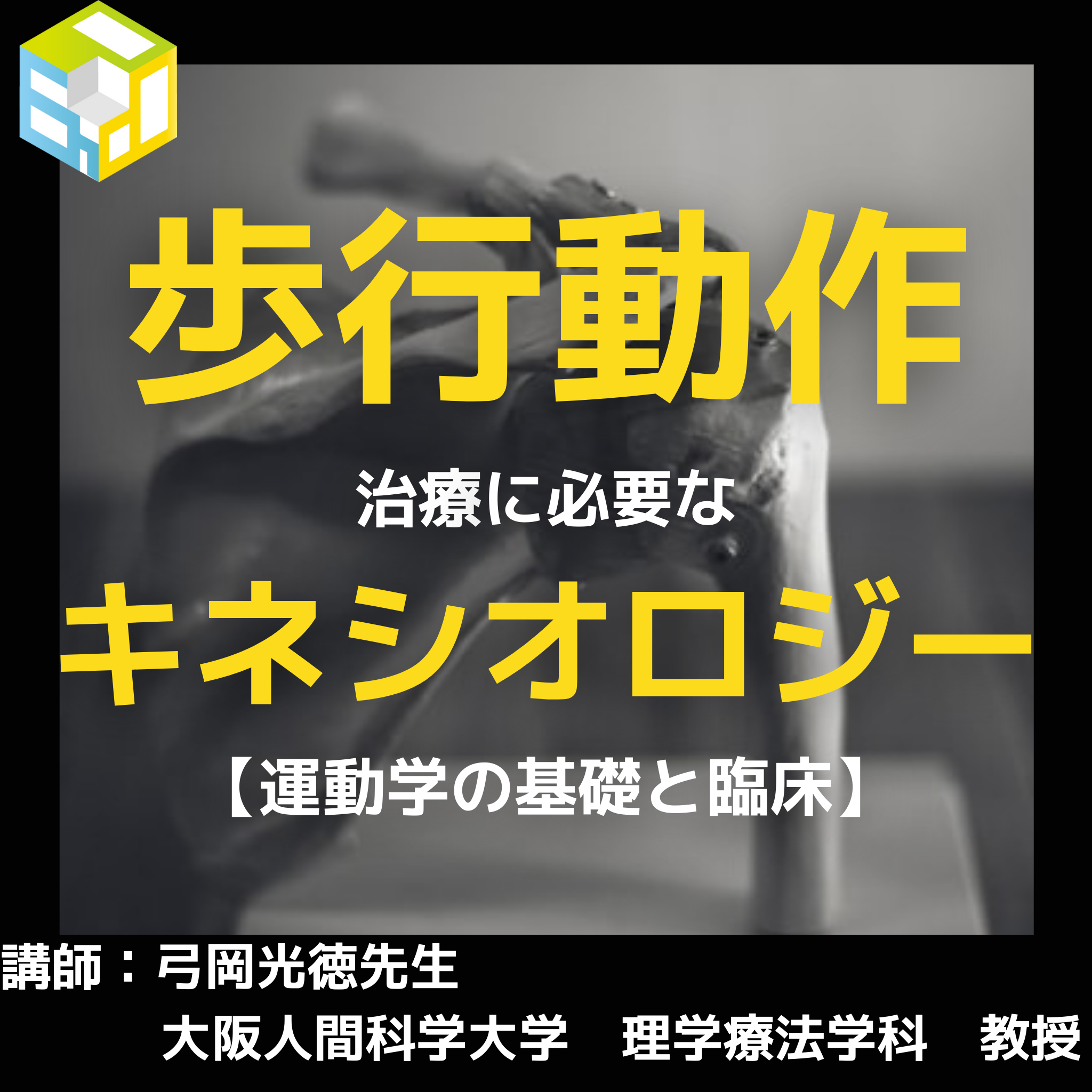 PT・OTのための歩行治療に必要なキネシオロジー｜運動学の基礎と臨床