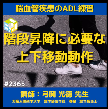 脳卒中患者のADL練習｜階段昇降に必要な上下移動動作の評価と練習方法 イントロ、呼吸の解剖・生理学と呼吸不全　