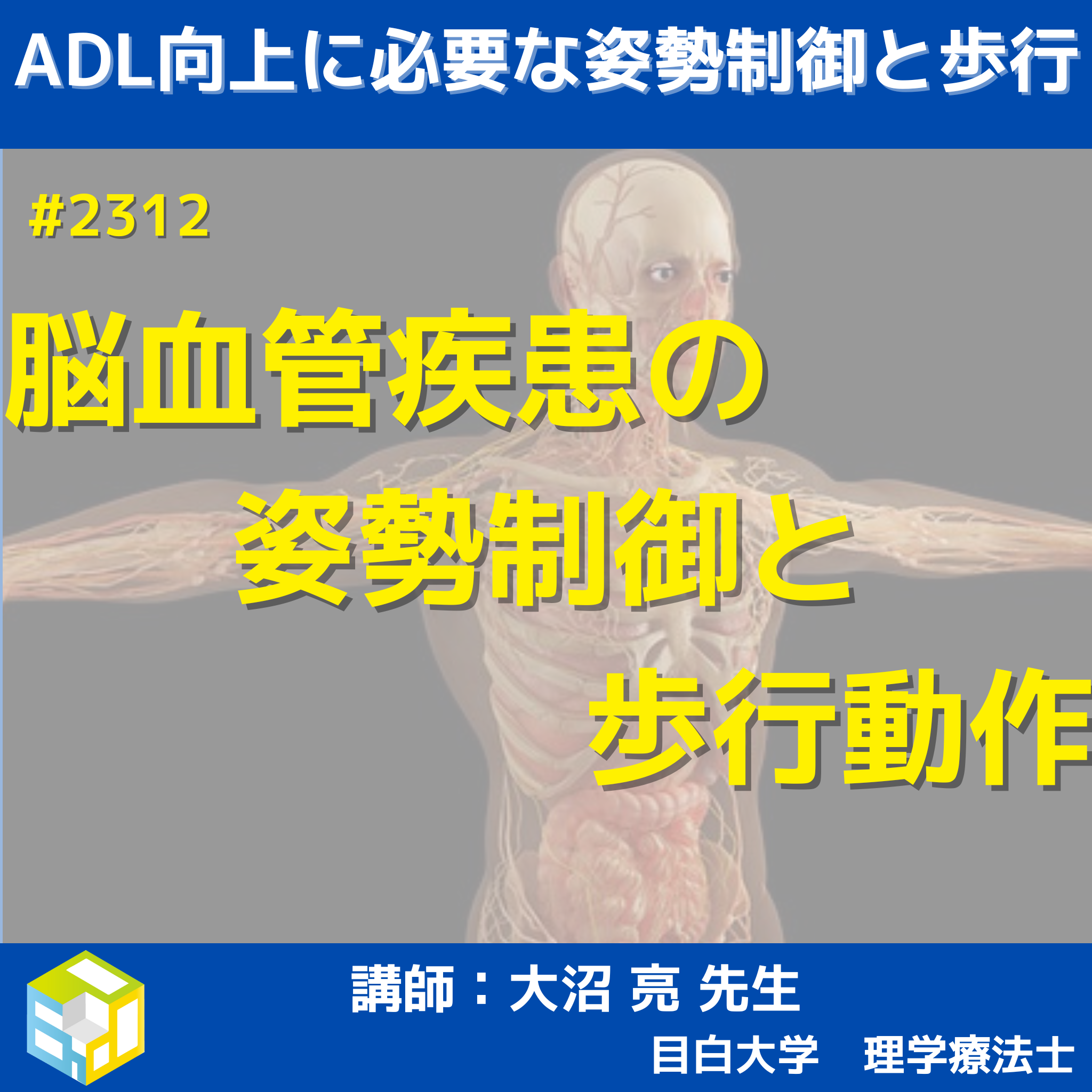 脳血管疾患の姿勢制御メカニズムと歩行動作のリハビリの進め方 イントロ、呼吸の解剖・生理学と呼吸不全　