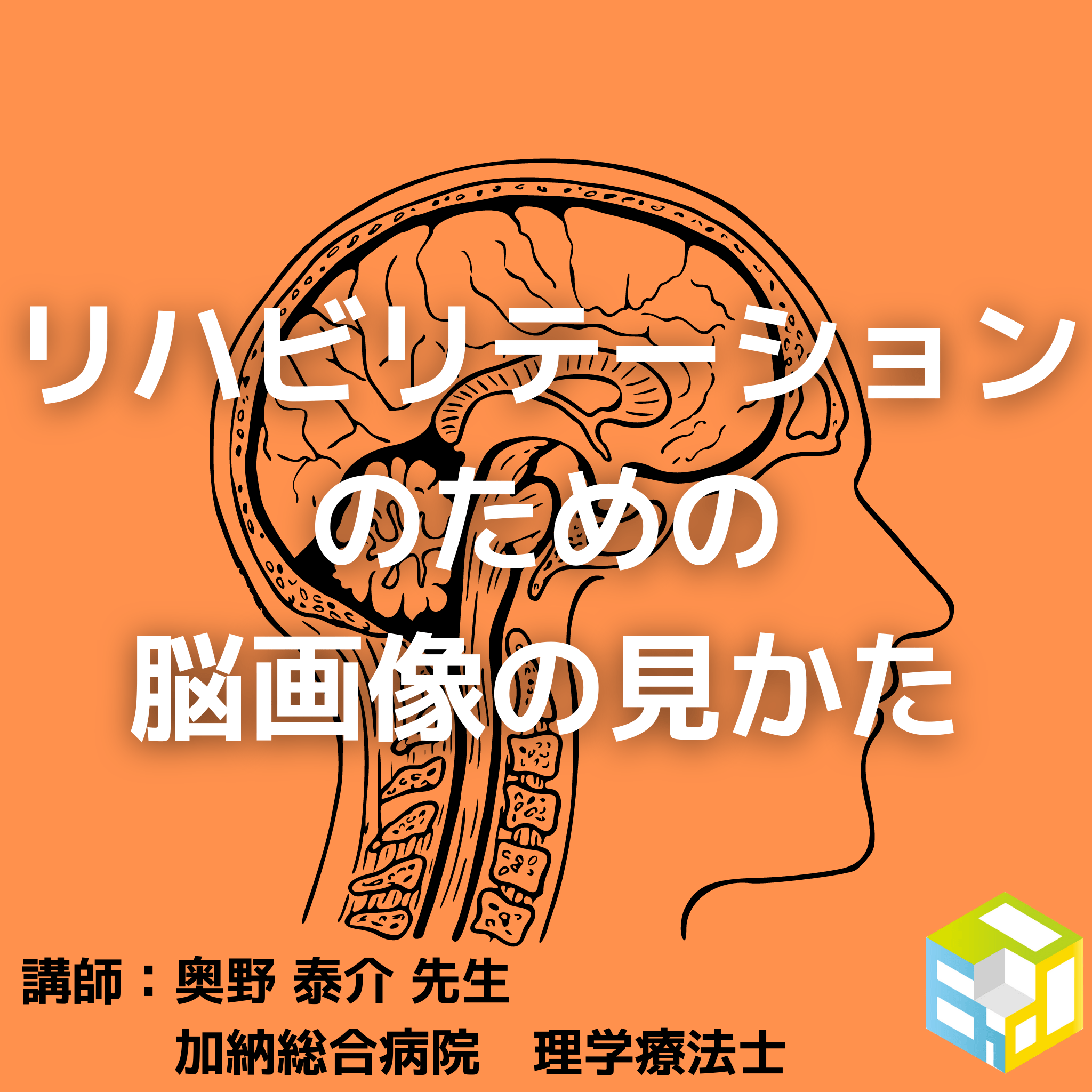 リハビリテーションのための脳画像と臨床所見の捉え方｜脳画像の基礎