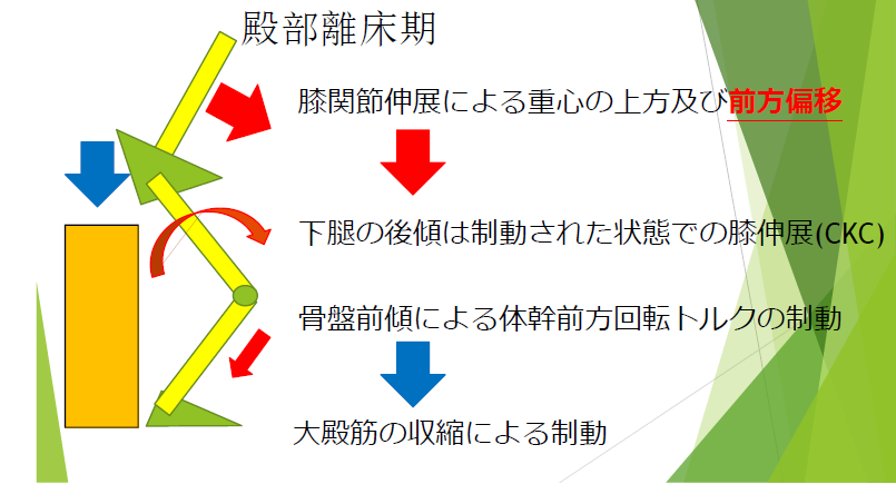 大阪会場 ナイトセミナー 第3期 基本動作の評価 動作分析と運動療法への展開 第3回 起立着座動作編 医療 看護 介護のセミナー 研修情報サイト メデュケーション