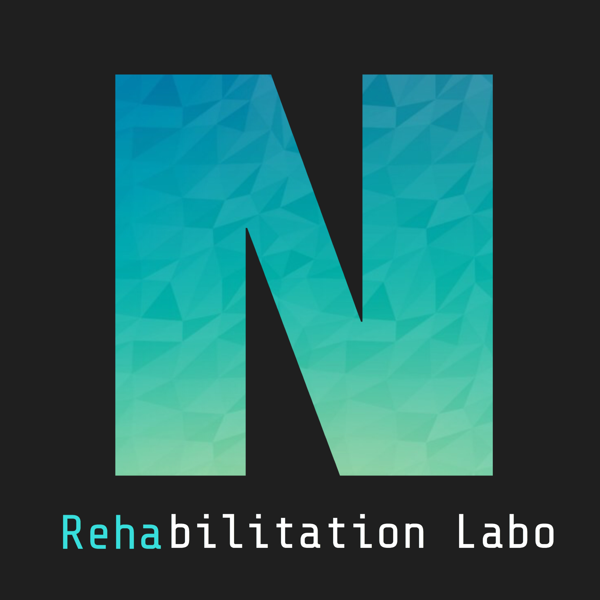 N Rehabilitation Labo