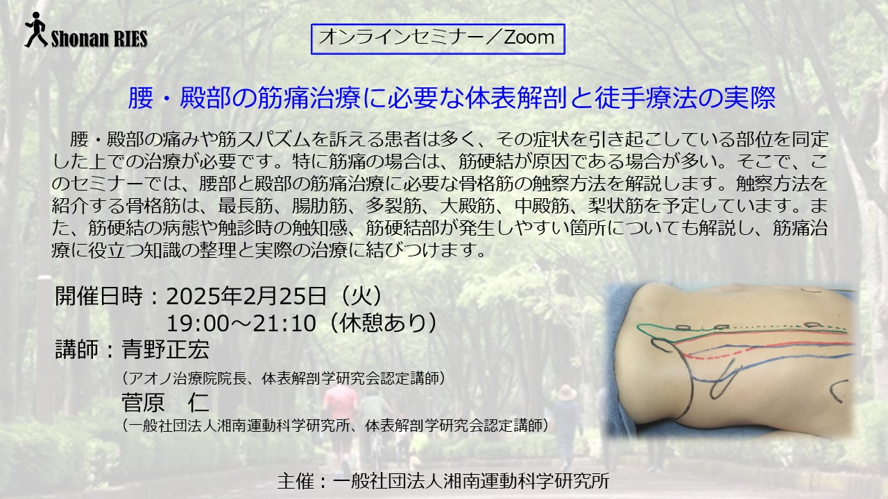 腰・殿部の筋痛治療に必要な体表解剖と徒手療法の実際 