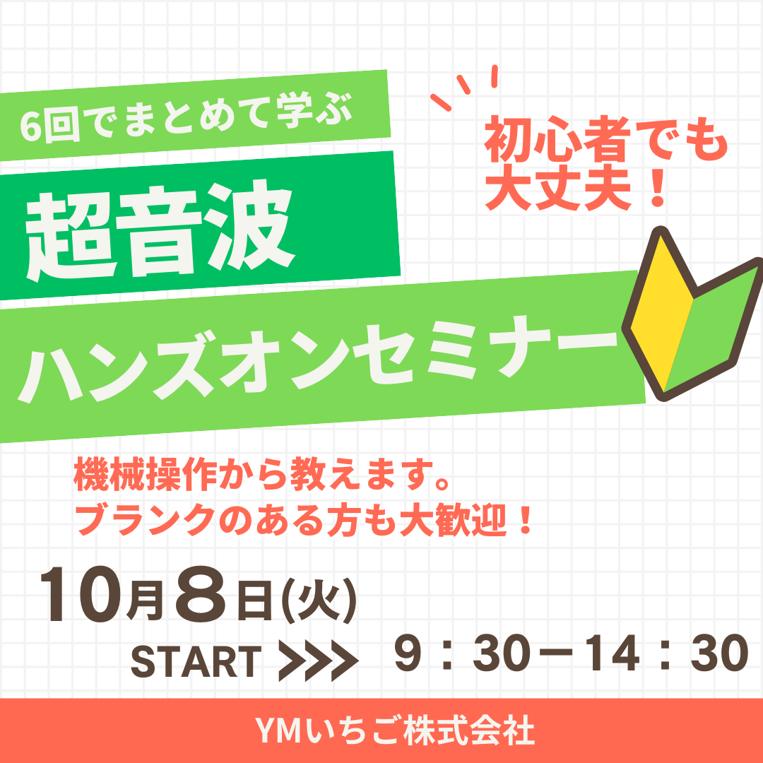 【大阪開催！】エコー初心者大歓迎 ★ エコーセミナー 【初心者/ブランク歓迎】基本像をしっかり描出できるように、基本的なところからお伝えします！