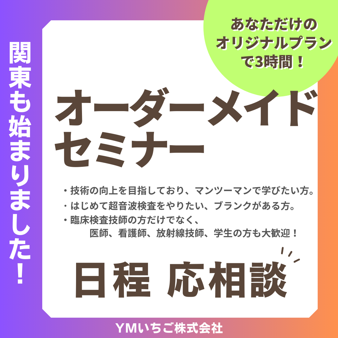 【初心者歓迎！日程自由！】１２月オーダーメイド超音波検査ハンズオンセミナー 掲載期間 