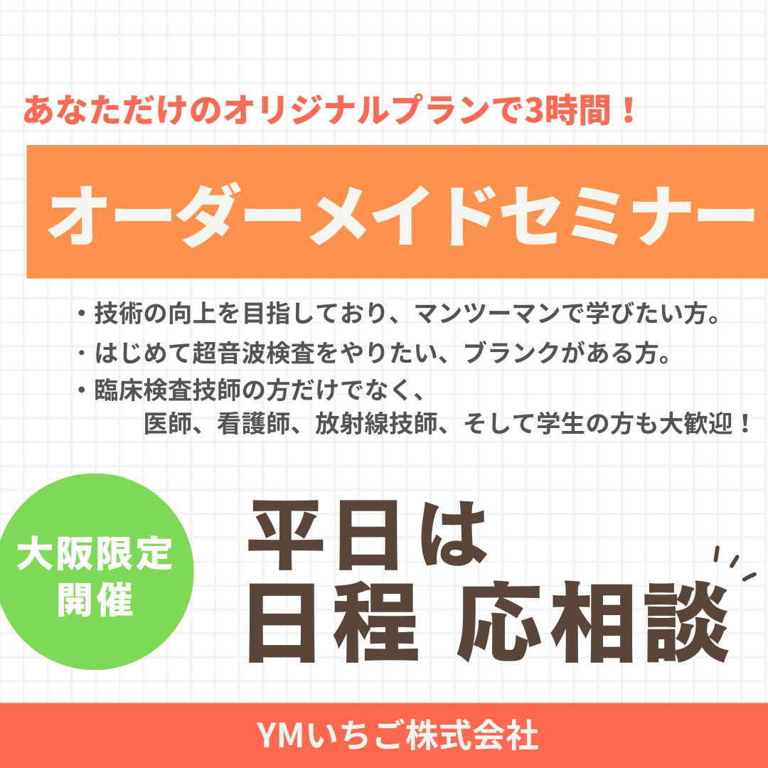 【初心者歓迎！日程自由！】１０月分予約あと少し！ / オーダーメイド超音波検査ハンズオンセミナー 