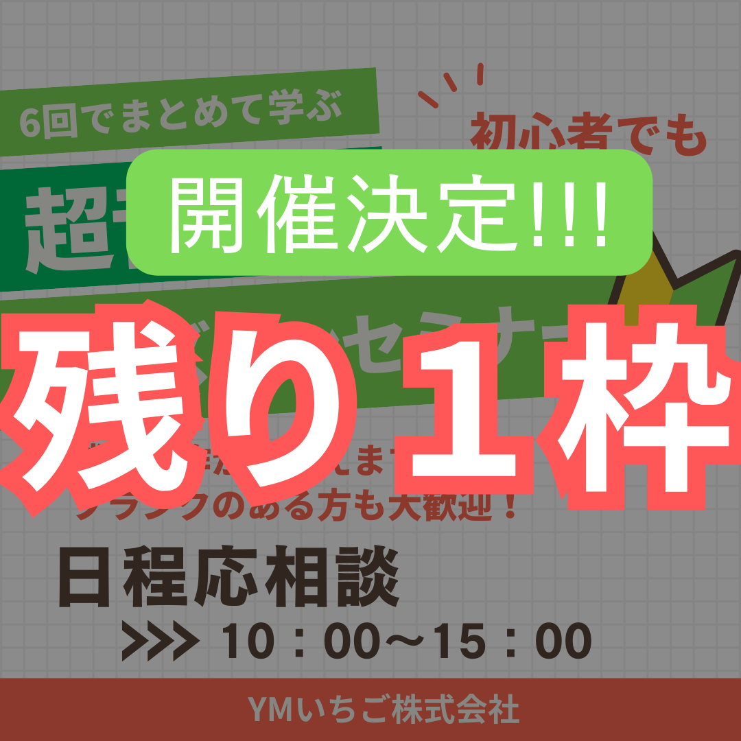 【開催決定！】12月5日スタート！エコー初心者大歓迎 ★ エコーセミナー 【初心者/ブランク歓迎】基本像をしっかり描出できるように、基本的なところからお伝えします！